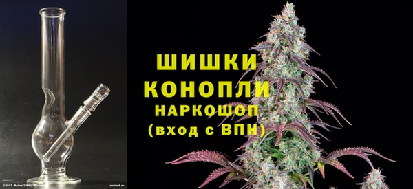 стаф Коряжма