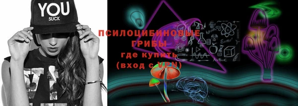 стаф Коряжма