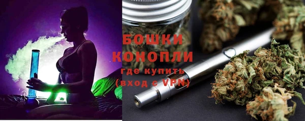 стаф Коряжма